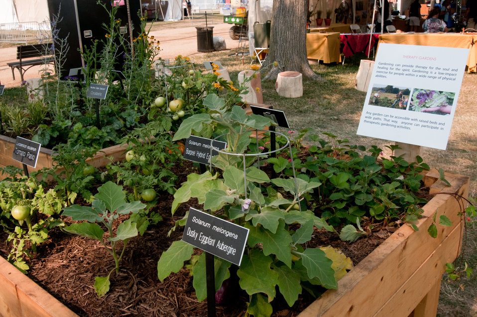 Raised bed vegetable garden with tomatoes