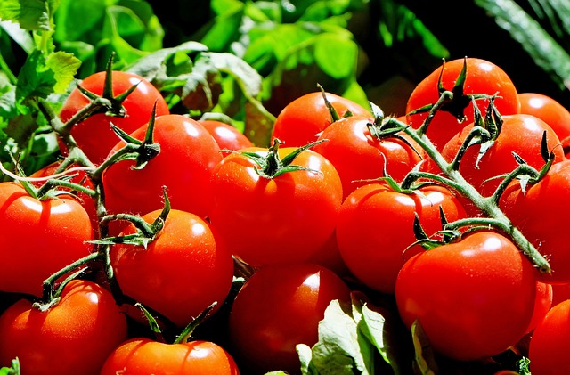 cherry tomatoes