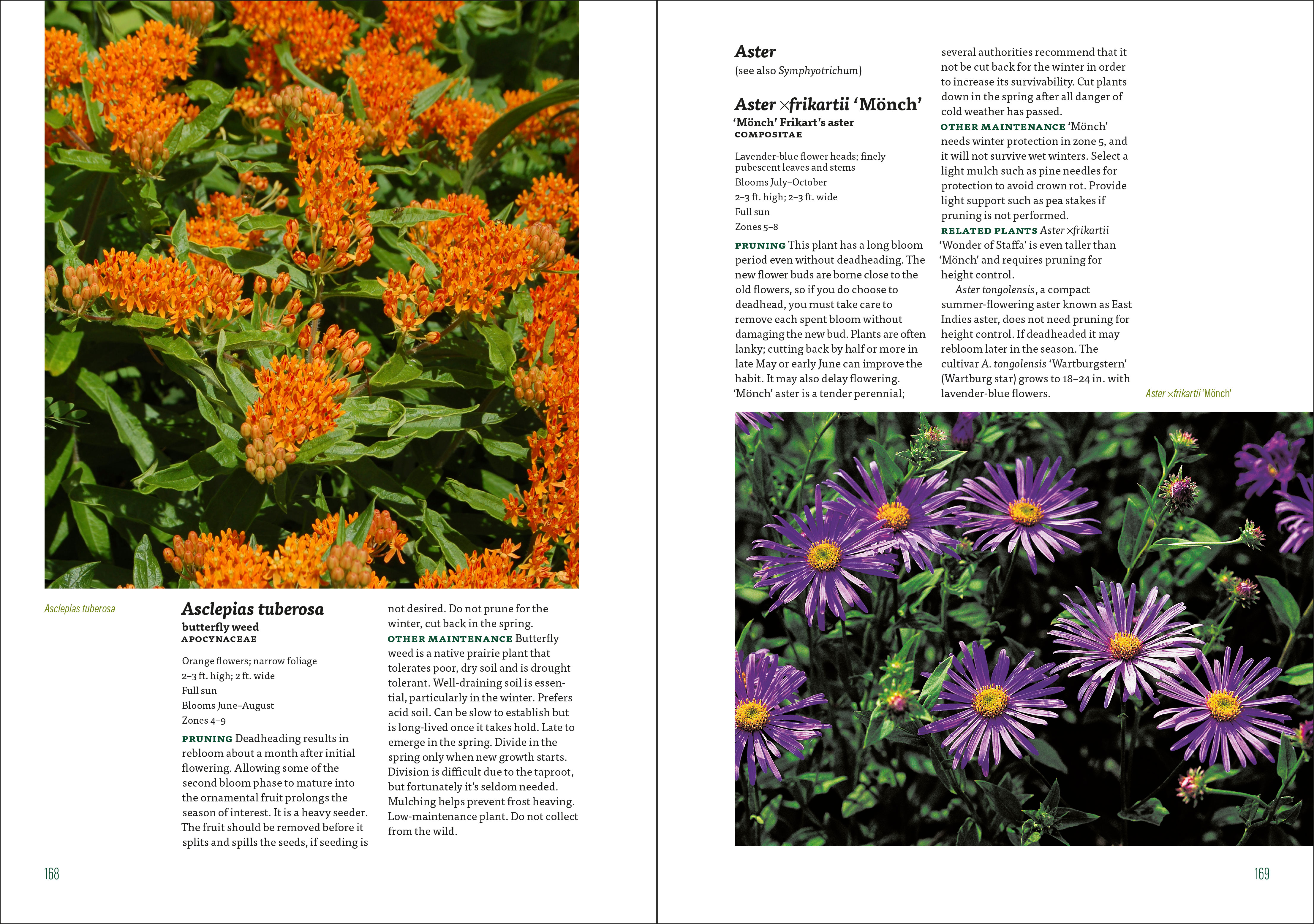 well tended perennial garden encyclpedia