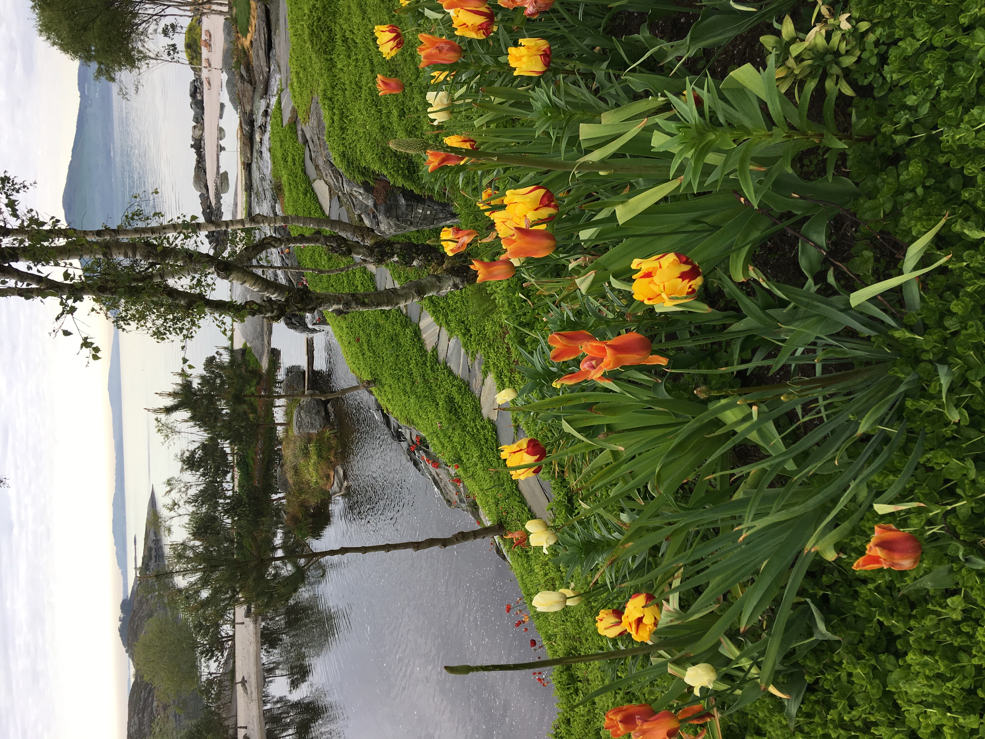 Flor og Fjære, Sør-Hidle, Stavanger, Norway Photo © 2019 Nancy Smith Brooks