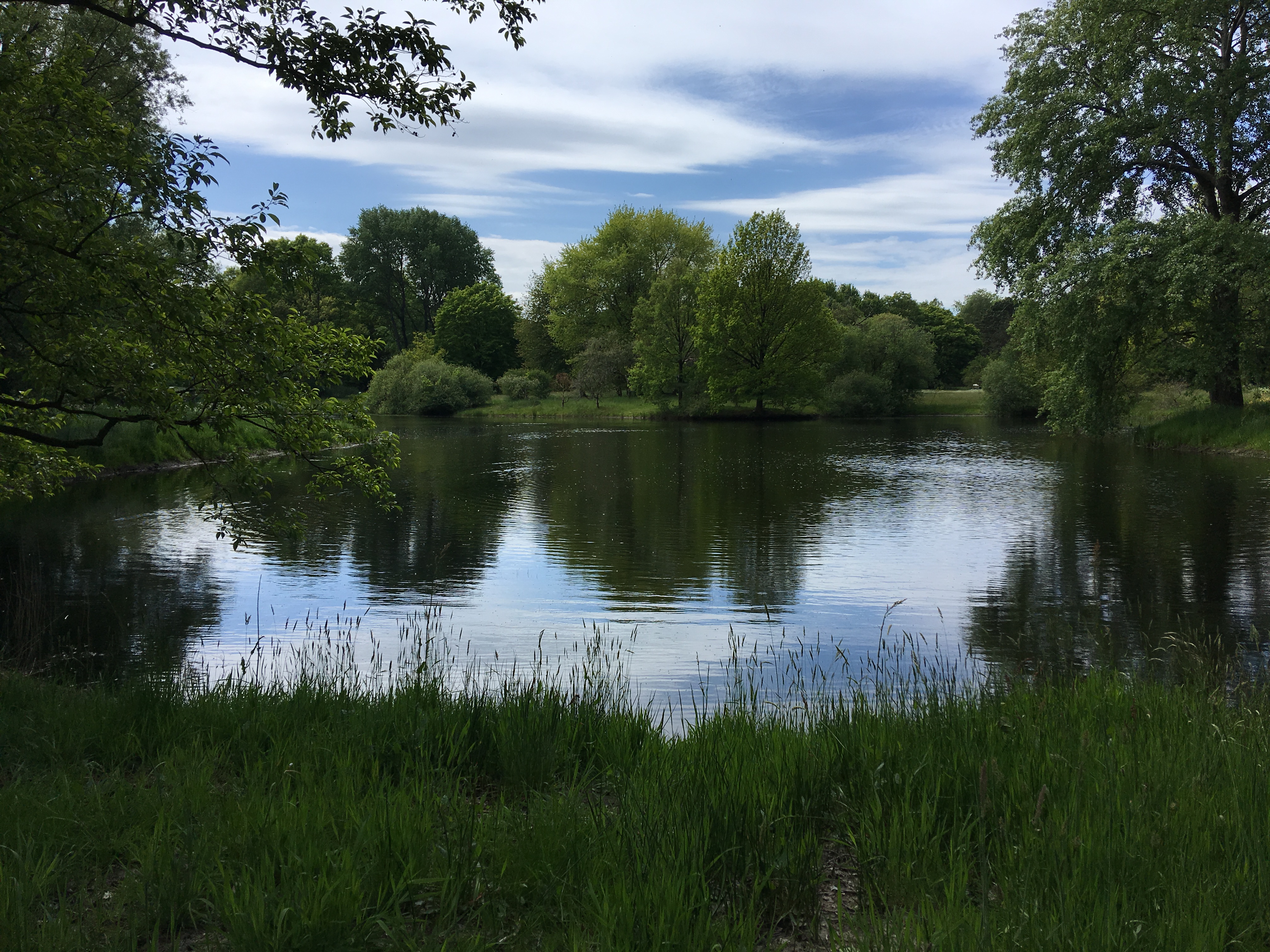 Hemelrijk lakeside, Antwerp, Belgium Photo © 2019 Nancy Smith Brooks