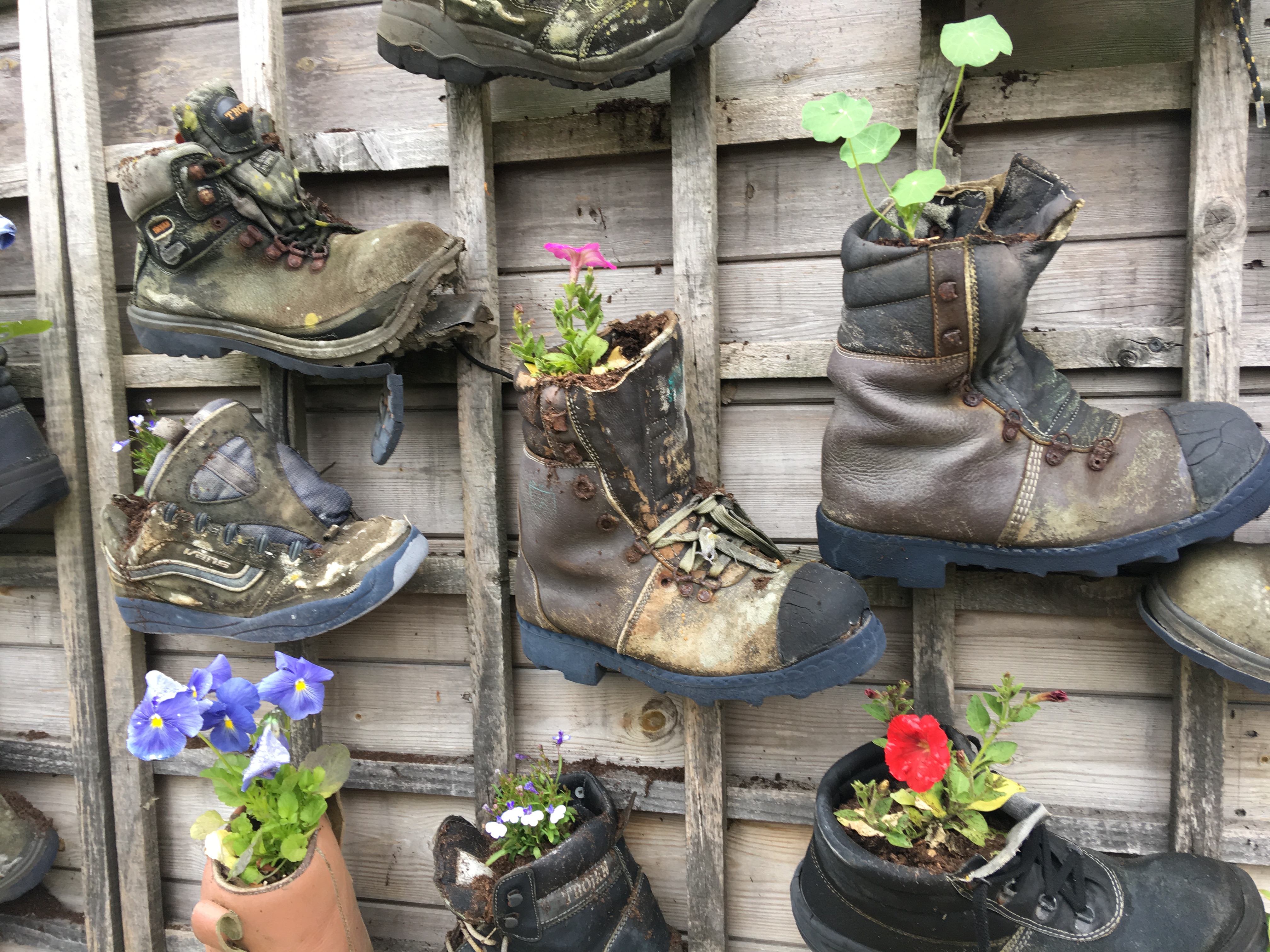 Old boots used as container gardens at Alnwick Castle, Northumberland, England Photo © 2019 Nancy Smith Brooks