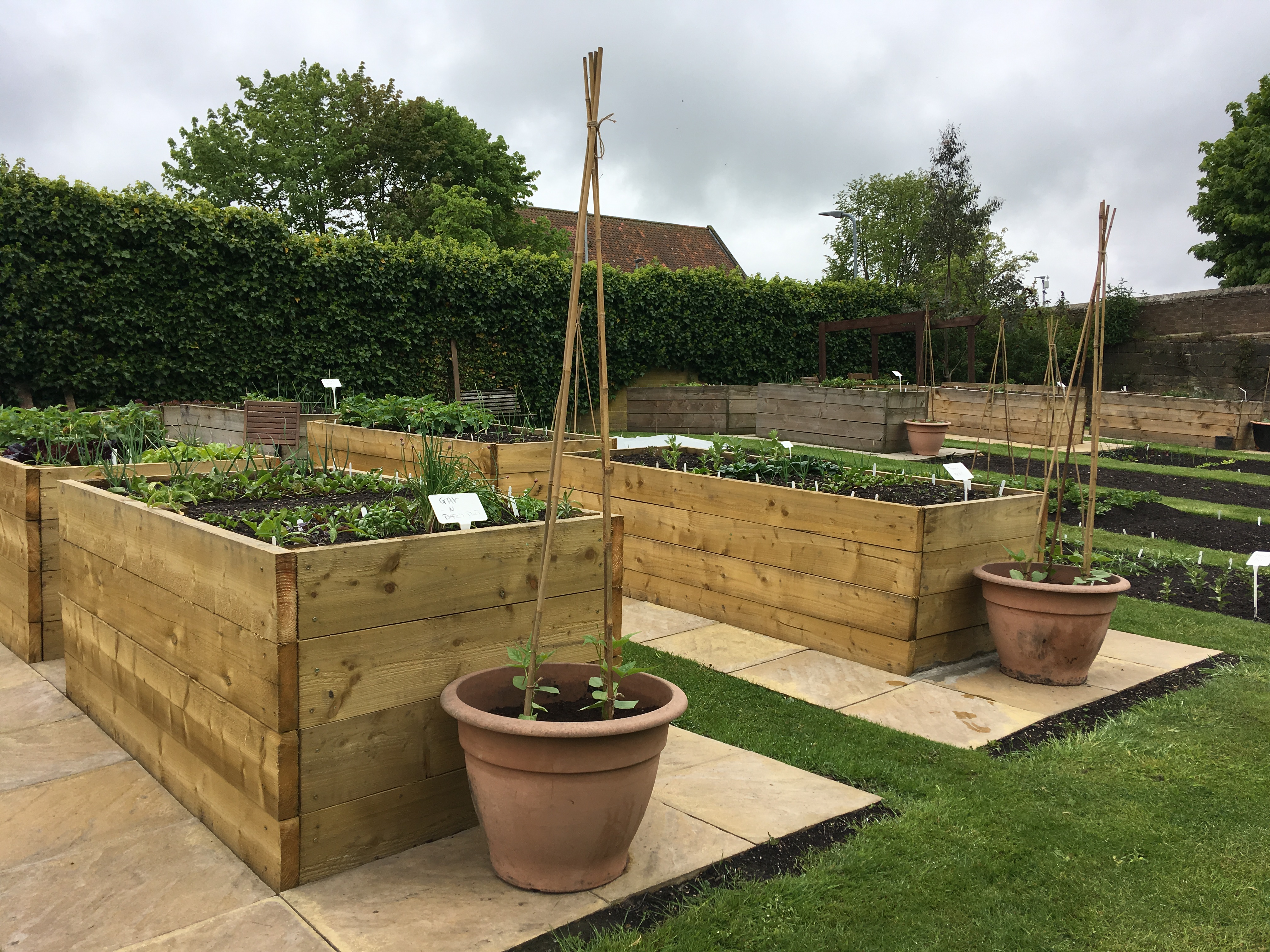 Raised beds in the Children’s Garden at Alnwick Castle, Northumberland, England Photo © 2019 Nancy Smith Brooks
