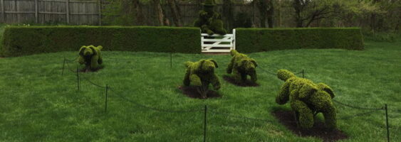 The Hunt Scene is recognized internationally as the symbol of Ladew Topiary Gardens.
