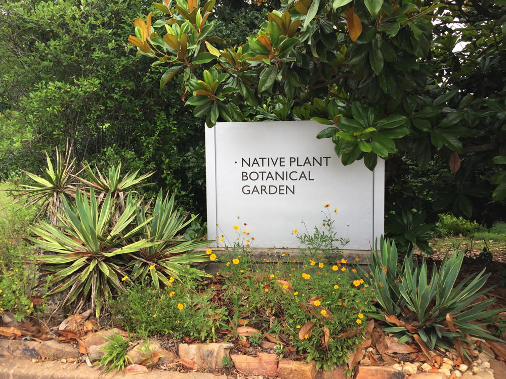 The GSU Native Plant Botanical Garden has the largest collection of native plants in Georgia.