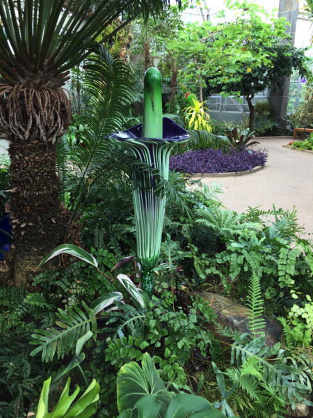 Glass corpse flower in the Conservatory.