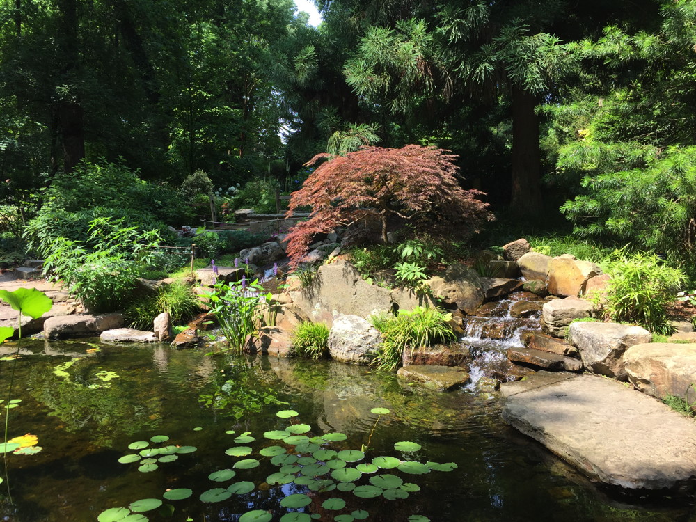 Water feature in the Susie Harwood Garden.