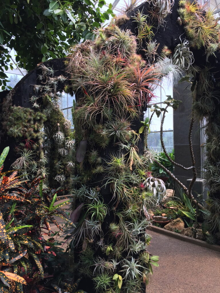 The Orchid Conservatory, a five-story glass house, displays a variety of tropical plants.