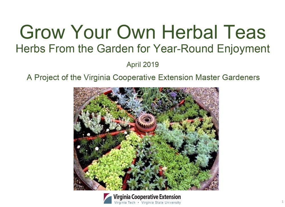 Opening slide of grow your own herbal teas