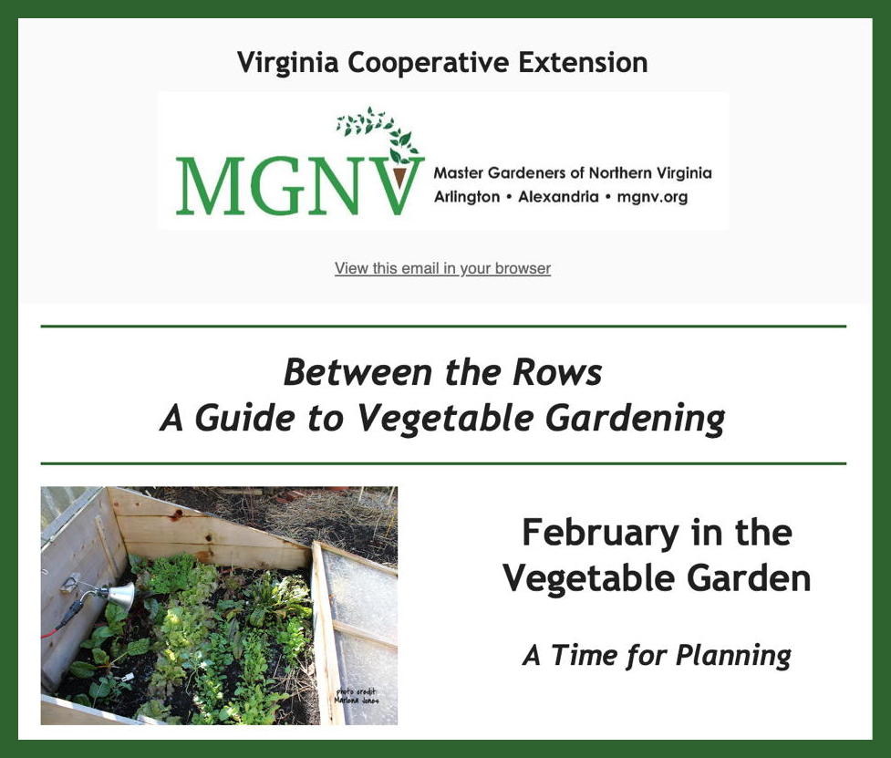 February in the Vegetable Garden - a Time for Planning