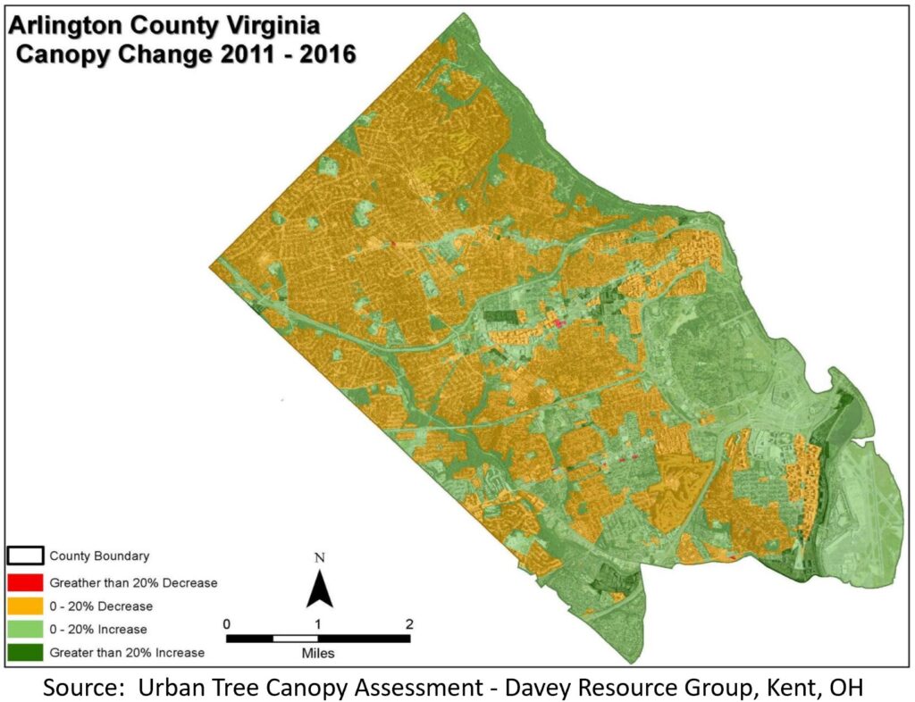 Map showing canopy loss in Arlington