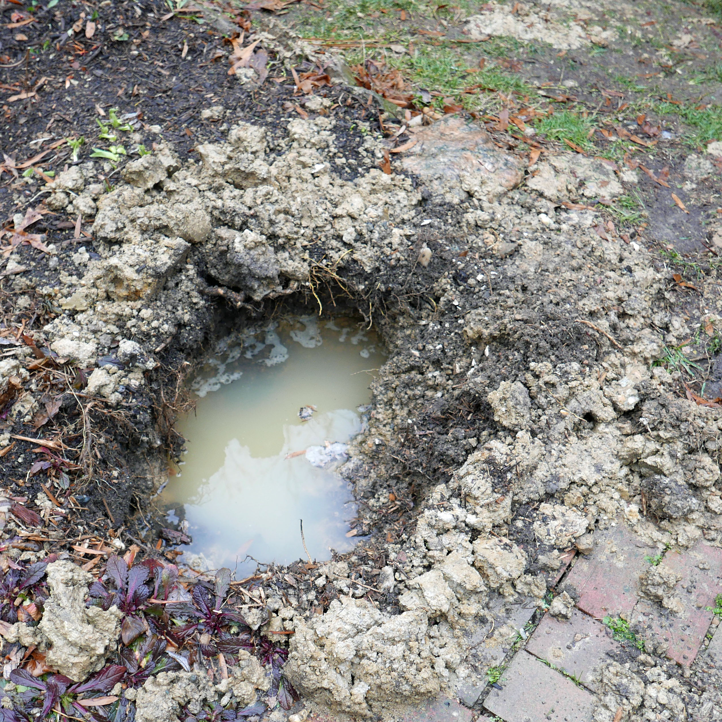 Clay_soil_drains_very_slowly_Feb_MMF
