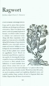 Ragwort page from What Have Plants Ever Done for Us
