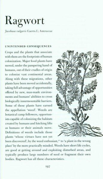 Ragwort page from What Have Plants Ever Done for Us