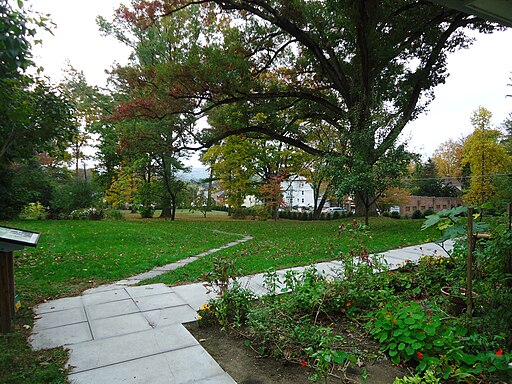 View from backyard of Emily Dickinson house