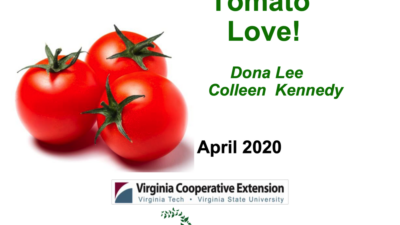 Tomato Love cover slide