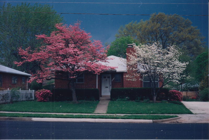Original landscape of front yard in 1992.