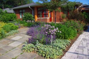 Front yard landscaping