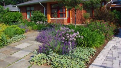Front yard landscaping