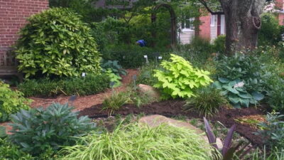Asian landscape design aesthetic at Glencarlyn Library Community Garden, contributed by Paul
