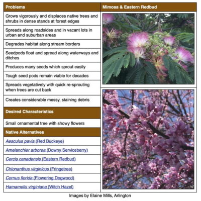Invasive Mimosa table from factsheet