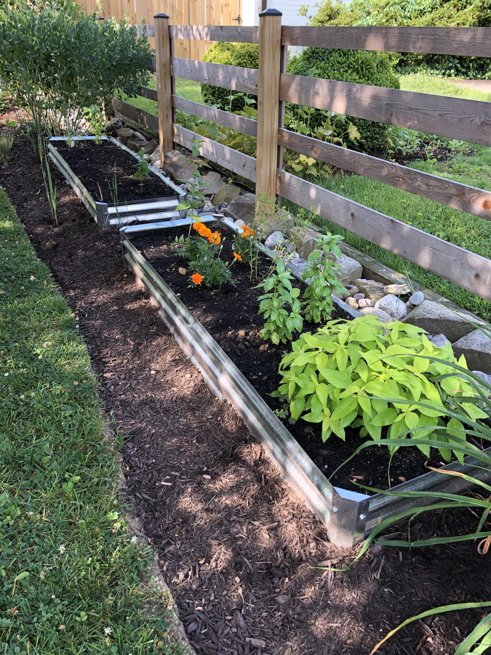 Raised flower beds with native plants