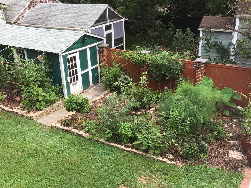 Kathryn Kellam’s young food forest to be featured in a future garden open house