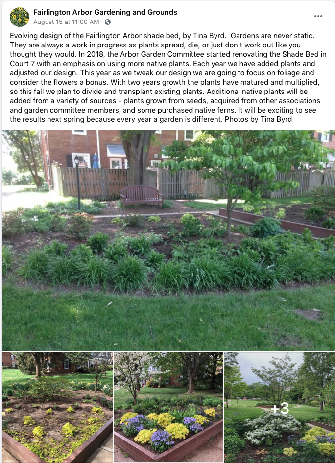 Fairlington Arbor Facebook post