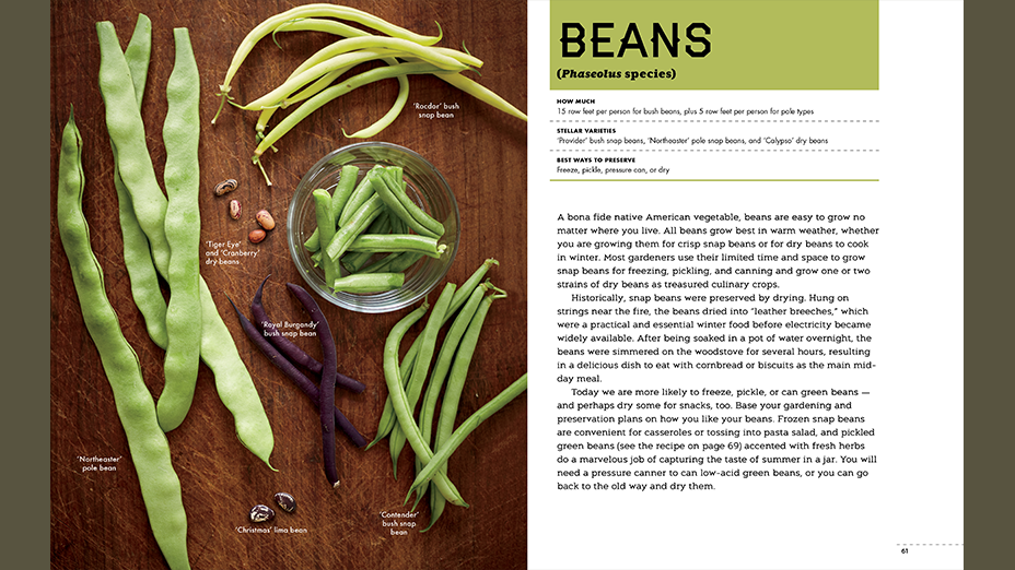 Beans