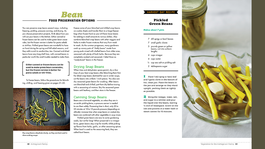 Beans: Food Preservation Options