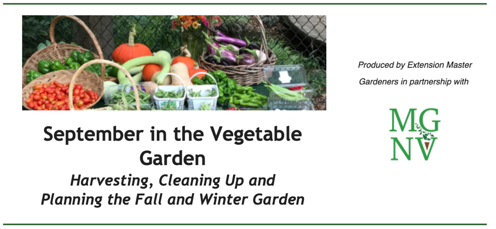 September in the Vegetable Garden - Harvesting, cleaning up and planning the fall and winter garden