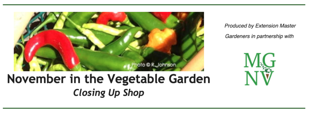 November in the Vegetable Garden - Closing up Shop