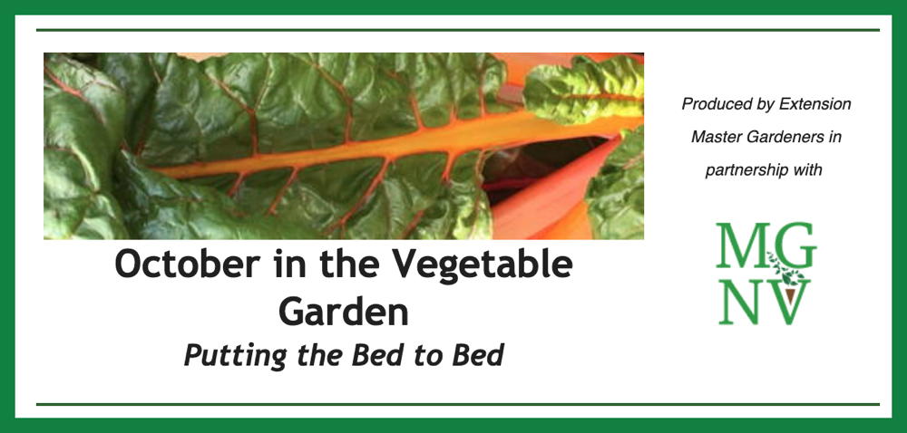 October in the Vegetable Garden - Putting the Garden to Bed
