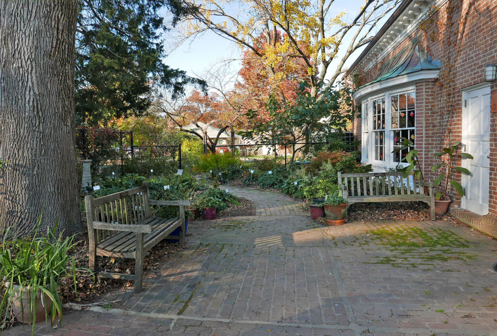 Patio with fall foliage behind