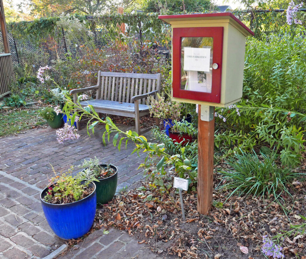 The Little Garden Education Box