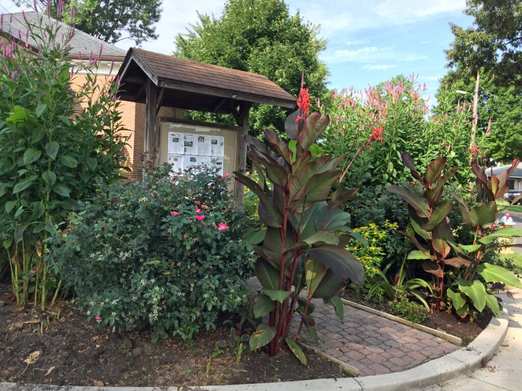 Another view of the tropicals flower bed.