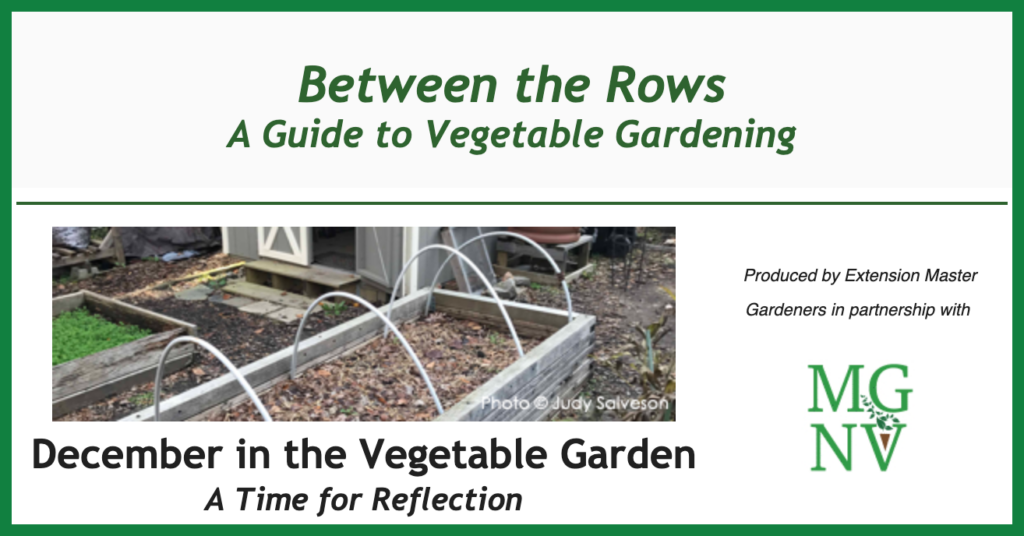 December in the Vegetable Garden - A Time for Reflection