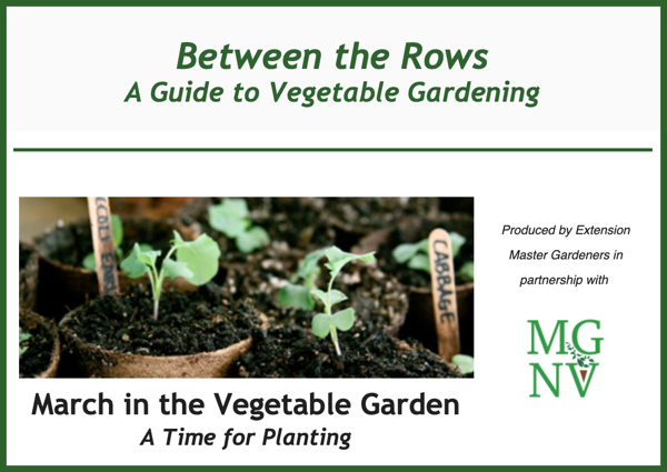 March in the Vegetable Garden - A Time for Planting