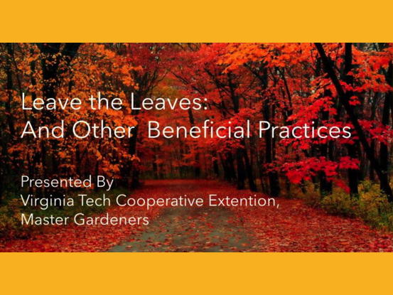Leave the leaves and other beneficial practices title slide