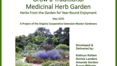 Growing a Traditional Medicinal Herb Garden