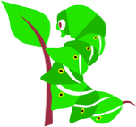 Tomato Hornworm illustration