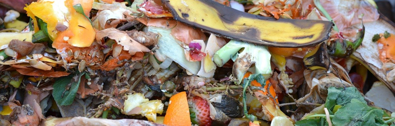 pile of refuse including banana peel and rotting food