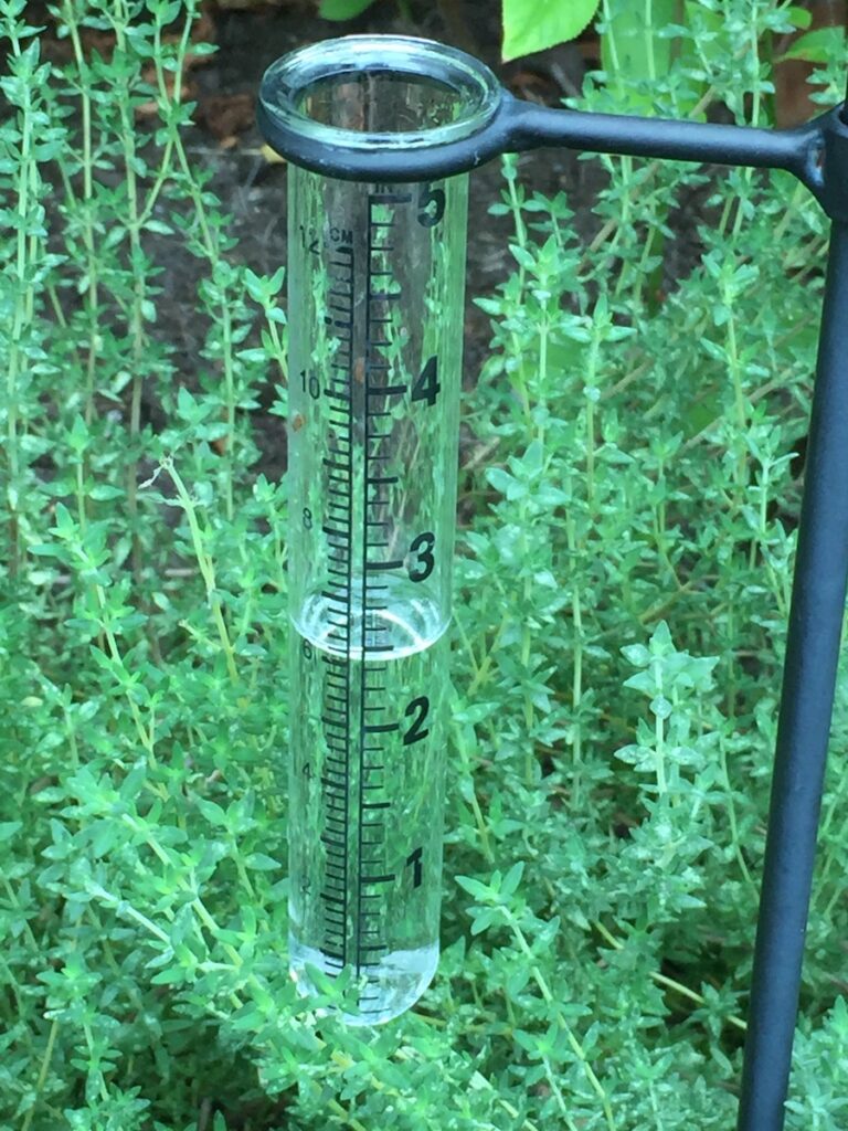 rain gauge