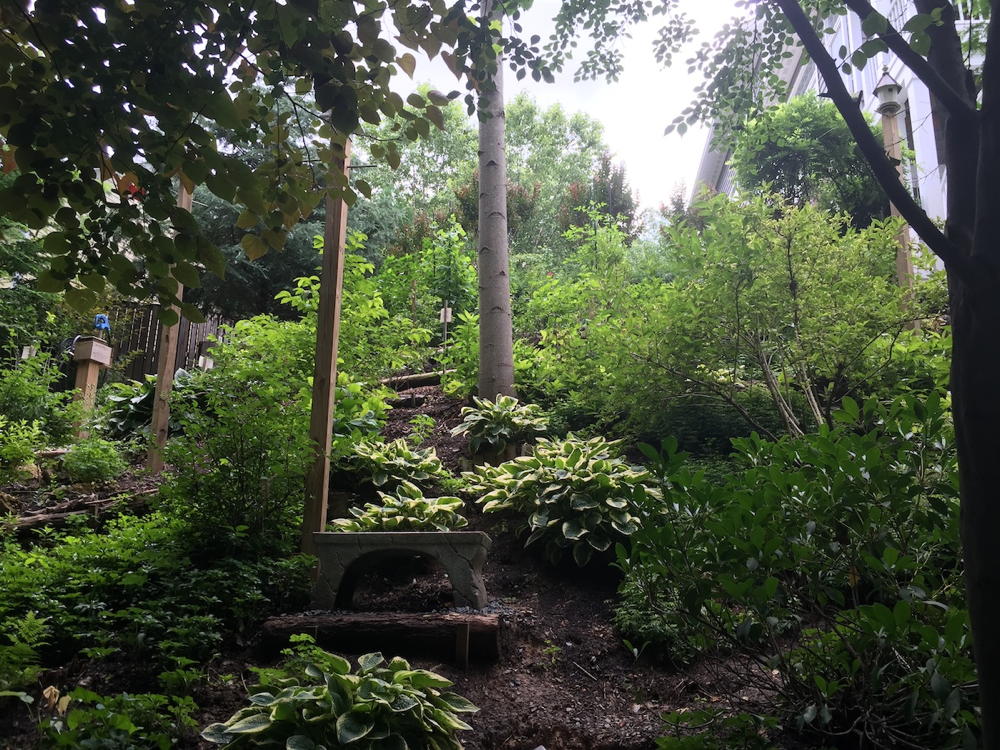 Terraced woodland