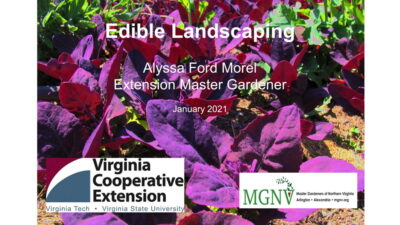 Edible Landscaping Cover Slide