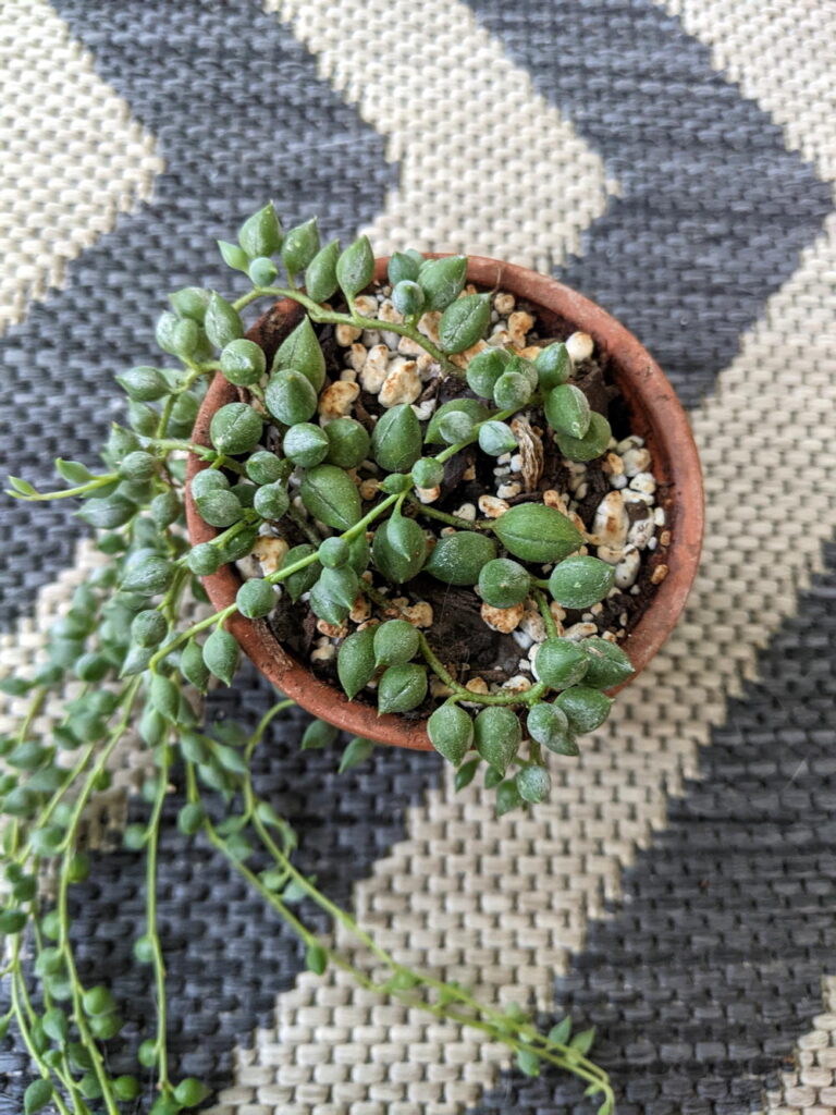 String of tears