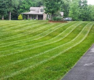 Expanse of lawn