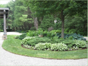 Turf grass used as edging for flower beds.