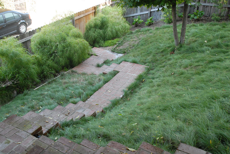 No-mow fescue lawn on hard-to-mow slopes.
