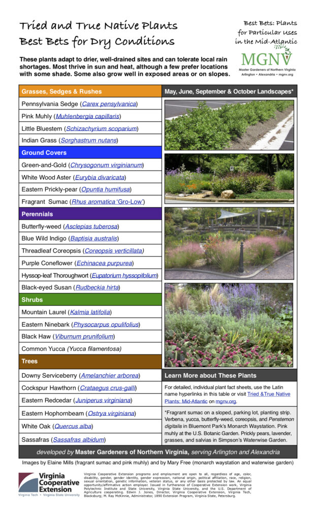 Pdf with recommendation for native plants for dry conditions